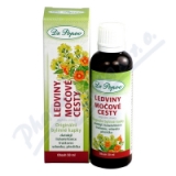 Dr. Popov Kapky bylinn Ledviny-moov cesty 50ml