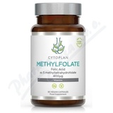 Cytoplan Methylfolate cps. 60