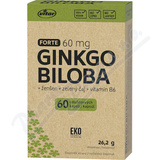 VITAR Ginkgo biloba Forte 60mg EKO cps. 60